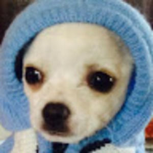 Meet your Posher, James